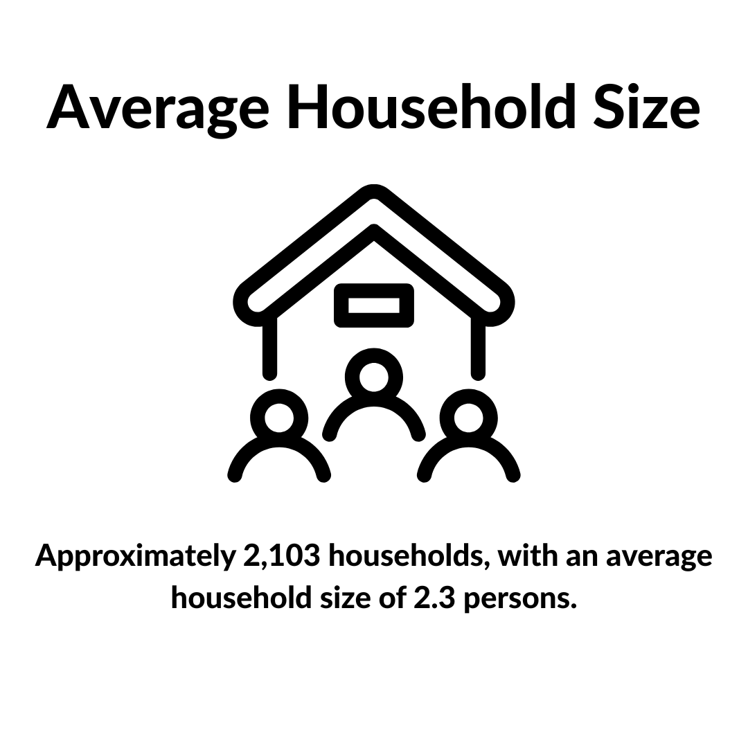 Average Household Size
